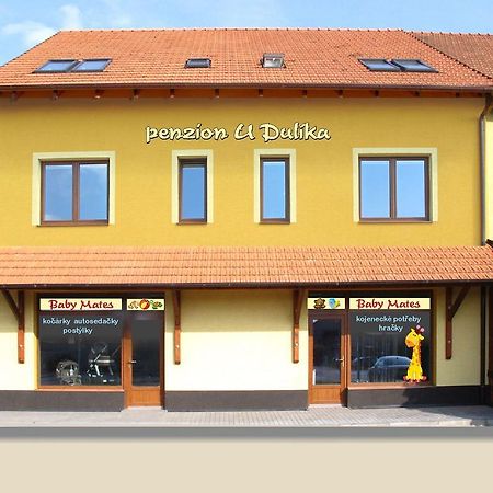 Penzion U Dulika Veselí nad Moravou Exteriör bild